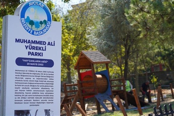Avcılar’da hayvan dostları tarafından “Hay’can” lakabıyla tanınan ve 9 yıl
