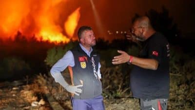 İzmir-Aydın otoyolunda seyir halindeki bir araçta çıkan yangının ormanlık alana