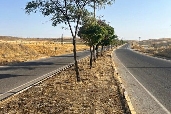 Batman’da yeşil alanların korunması ve çevre düzenlemesinin güçlendirilmesi amacıyla başlatılan Yeşil