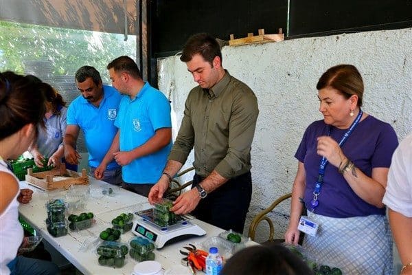 Bodrum Belediyesi Tarımsal Hizmetler Müdürlüğü ekipleri tarafından Bitez, Müskebi, Yahşi,