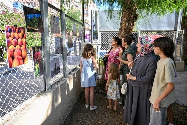 Çocukların objektifinden çıkan fotoğraflar; doğa ve hayvanlardan günlük yaşamın küçük