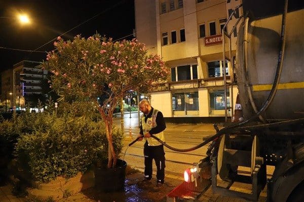 Eskişehir  Büyükşehir Belediyesi Park ve Bahçeler Dairesi Başkanlığı, kendi seralarında yetiştirdiği