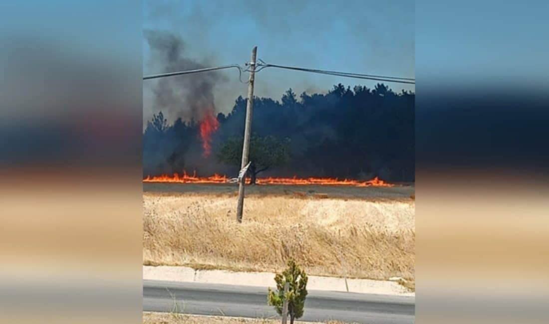 Merkeze bağlı Dardanos mevkiinde henüz belirlenemeyen nedenle başlayan yangın, rüzgarın