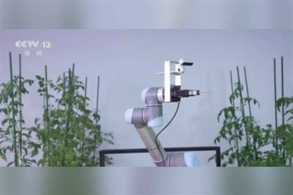 Çin’in geliştirdiği “Geair” isimli polinasyon robotu kısa süre önce kamuoyuna tanıtıldı.
