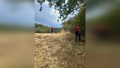 Tekirdağ İl Afet ve Acil Durum Müdürlüğü (Tekirdağ AFAD) koordinasyonunda