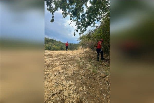 Tekirdağ İl Afet ve Acil Durum Müdürlüğü (Tekirdağ AFAD) koordinasyonunda