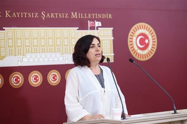 DEM Parti Diyarbakır Milletvekili Sevilay Çelenk, Çevre, Şehircilik ve İklim