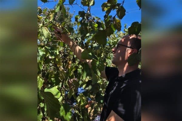 Dereli Kaymakamı Emrah Azman, beraberinde İlçe Jandarma Komutanı Yüzbaşı Tayfun