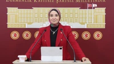 DEVA Partisi Genel Başkan Yardımcısı ve İstanbul Milletvekili Esen, açıklamasında