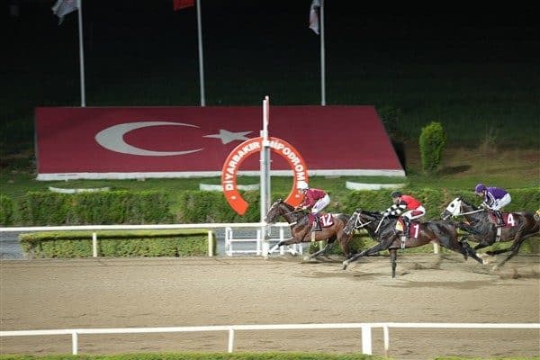Türkiye Jokey Kulübü tarafından organize edilen Diyarbakır Büyükşehir Belediyesi Başkanlığı
