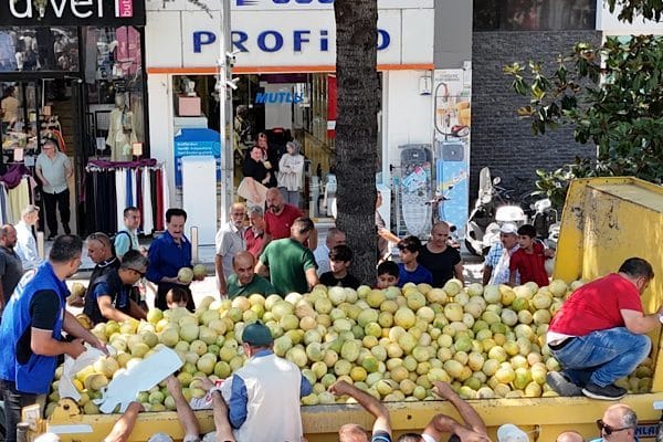 Düzce Belediyesi tarafından , yerli üretimi desteklemek ve halkla paylaşmak