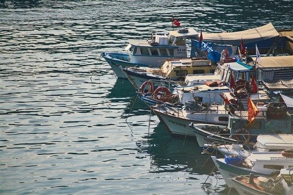 (Kaynağından düzeltme) – Bakanlıktan yapılan açıklamada Balon Balığı Avcılığının Desteklenmesine