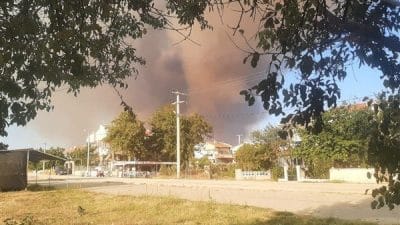Enez ilçesine bağlı Gülçavuş ve Büyükevren köylerinde orman yangını çıktı.