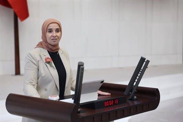 DEVA Partisi Genel Başkan Yardımcısı ve İstanbul Milletvekili Esen, Cumhurbaşkanı