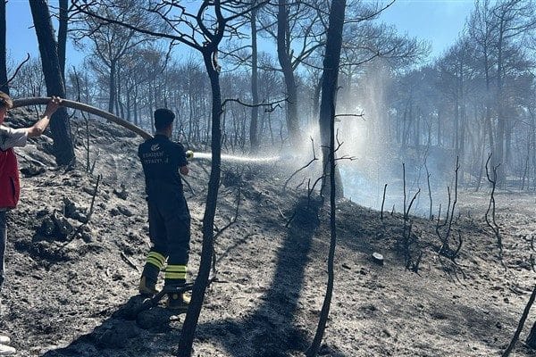 Çanakkale'nin merkez ilçesine bağlı Kepez beldesi Dardanos mevkiinde ormanlık alanda