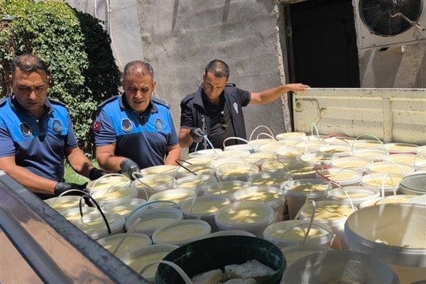 Eyyübiye Belediyesi Zabıta Müdürlüğü ekipleri, ruhsatsız bir süt ürünleri imalathanesine