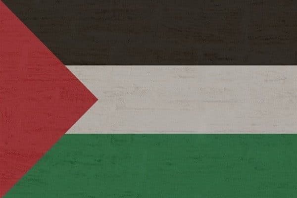 Filistin Dışişleri ve Gurbetçiler Bakanlığı, Lübnan'da görev başındayken meydana gelen