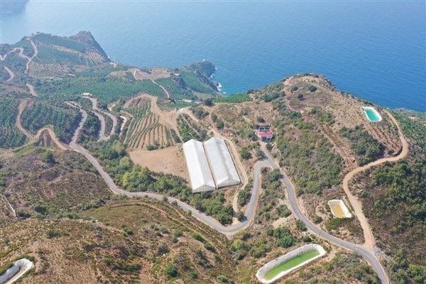 Muzkent’te mahalle içi yolların yanı sıra muz bahçelerine giden güzergahların
