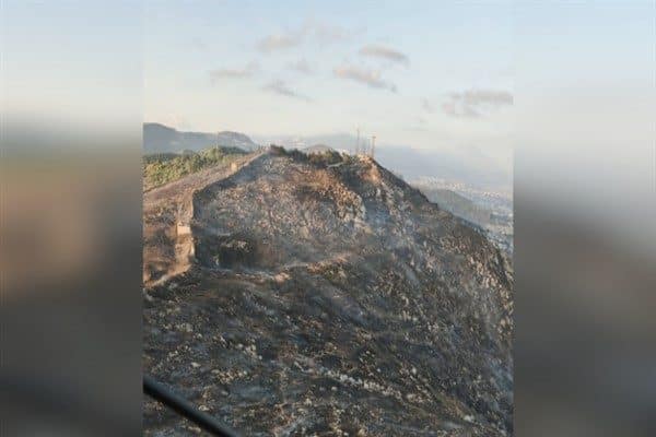 Yangın sonrası bölgeye sevk edilen Orman İşletme ekipleri ve Hatay