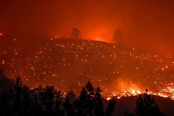Hatay Valiliği koordinasyonunda Orman Bölge Müdürlüğü, Büyükşehir Belediyesi, AFAD, Jandarma,