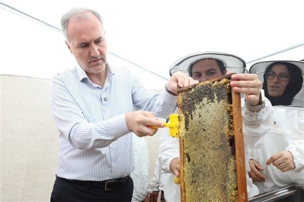 İnegöl’de bal hasadı başladı. Endemik bitki örtüsü zengin bir floraya