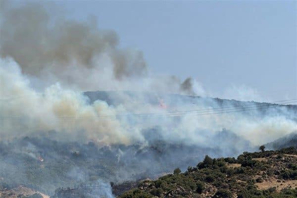 İzmir’in Aliağa ilçesine bağlı Çıtak Mahallesi’nde saat 14.15 sıralarında orman