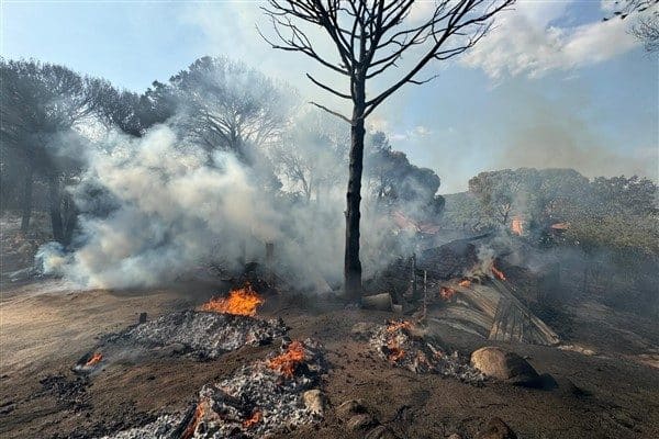 İzmir’in Bergama ilçesine bağlı Demircidere Mahallesi’nde bugün saat 15.30 sıralarında