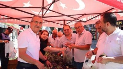 İzmit Belediyesi,  Alikahya, 28 Haziran ve Yeşilova mahallelerinde meyve ve