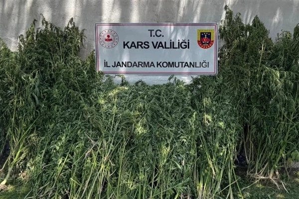 Kars İl Jandarma Komutanlığı tarafından uyuşturucu madde imal ve ticareti