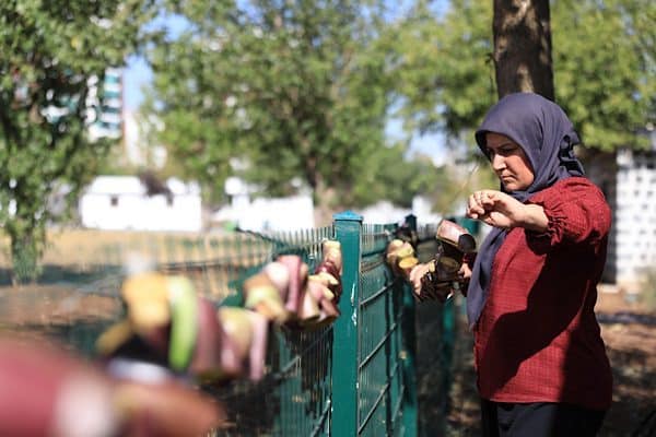 Kayapınar Belediyesi Park ve Bahçeler Müdürlüğü ile Kadın Politikaları Müdürlüğü’nün