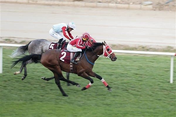 İzmir Şirinyer Hipodromu’nda gerçekleştirilen Konak Belediye Başkanlığı Koşusu, nefes kesen