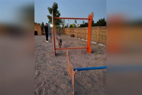 Kayseri Büyükşehir Belediye Başkanı Dr. Memduh Büyükkılıç liderliğindeki Büyükşehir Belediyesi