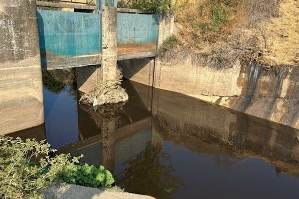 Manisa Büyükşehir Belediyesi İklim Zabıtası ekipleri, Turgutlu ilçesi İzzettin Mahallesi’nde
