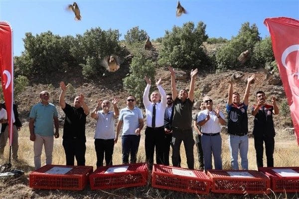 Tarımsal Hizmetler Daire Başkanlığı tarafından daha önce doğaya salınan 300