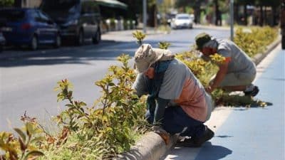 Çalışmalar kapsamında Marmaris Merkez'de 15 bin metrekare alanda çim biçimi