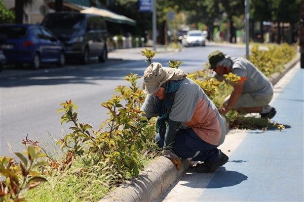 Çalışmalar kapsamında Marmaris Merkez'de 15 bin metrekare alanda çim biçimi