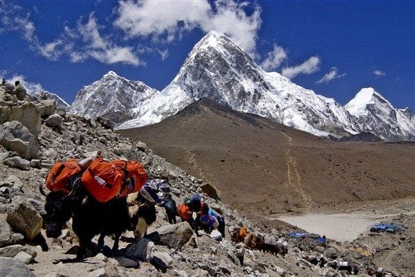 Bu gelişme, dünyanın en yüksek zirvesi olan Everest Dağı'na zirve