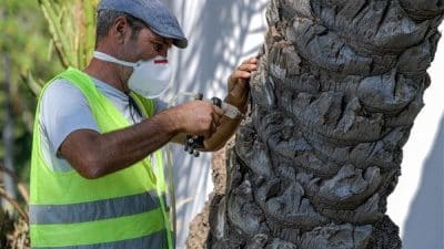 İzmir Büyükşehir Belediyesi Park ve Bahçeler Dairesi Başkanlığı tarafından Türkiye’de