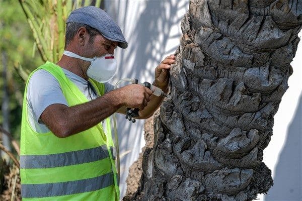 İzmir Büyükşehir Belediyesi Park ve Bahçeler Dairesi Başkanlığı tarafından Türkiye’de