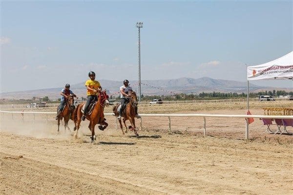 Afyonkarahisar Valiliği, Afyonkarahisar Belediyesi ve Geleneksel Atlı Spor Dalları Federasyonu