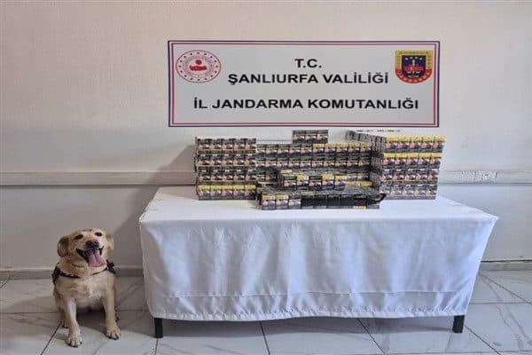 Şanlıurfa Valiliğinden yapılan açıklamaya göre Şanlıurfa İl Jandarma Komutanlığı tarafından
