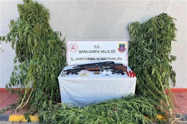 Şanlıurfa İl Jandarma Komutanlığı tarafından, 13-14 Ağustos tarihleri arasında Birecik, Eyyübiye, Halfeti,