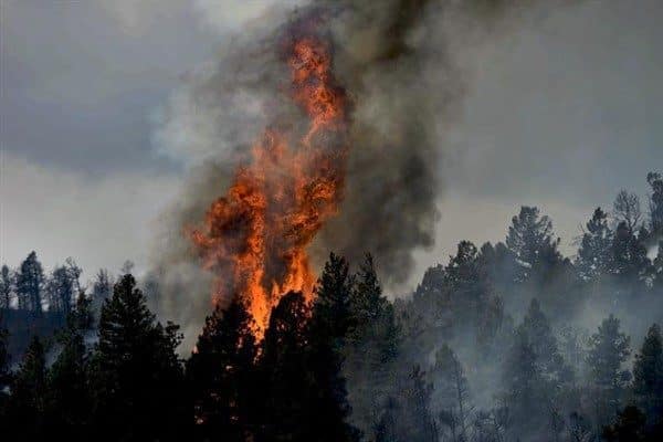 Sinop’un Durağan ilçesinde meydana gelen orman yangınına hem havadan hem