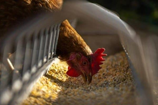 Türkiye İstatistik Kurumu’nun (TÜİK) verilerine göre, Haziran ayında bir önceki