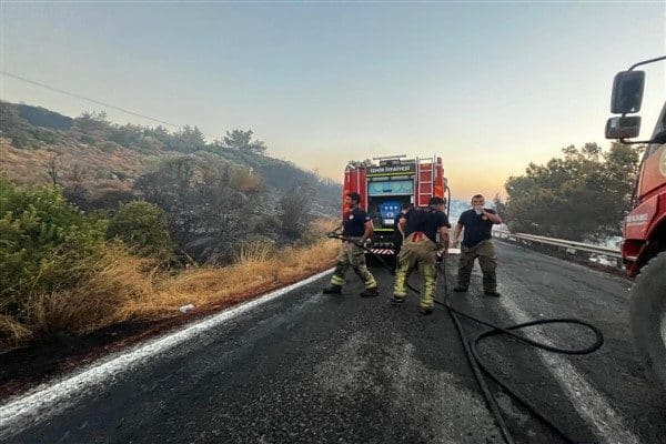 İzmir Büyükşehir Belediyesi'nden yapılan açıklamaya göre Urla Barbaros Mahallesi’nde çıkan orman
