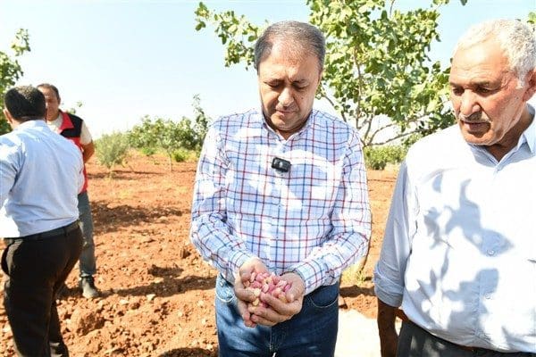 Hafta sonu sabah saatlerinde Bozova ilçesine bağlı Çakmaklı mahallesinde boz
