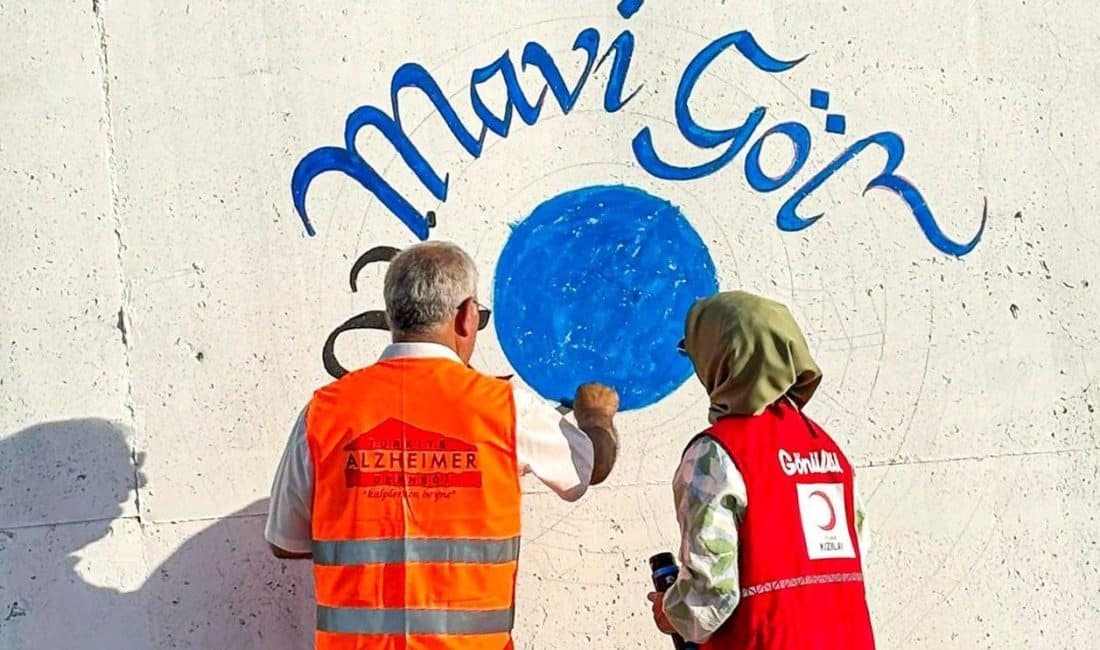 Van Büyükşehir Belediyesi, Gevaş Kaymakamlığı, Van Gölü Aktivistleri Derneği, Alzheimer
