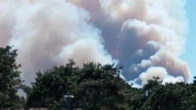 Tarım ve Orman Bakanı Yumaklı, kabine toplantısının ardından Türkiye’de devam