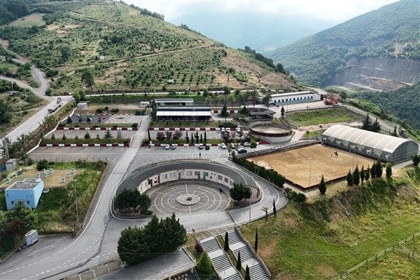 Arap, İngiliz ve Avrupa frizyen cinsi atların bulunduğu tesiste alanında