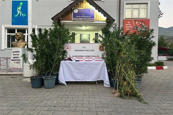 Sakarya İl Jandarma Komutanlığı ekiplerince düzenlenen, uyuşturucu suçlarıyla mücadele kapsamında